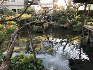 島原 湧水庭園