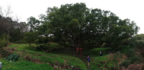 志々島