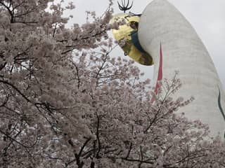 万博記念公園 太陽の塔