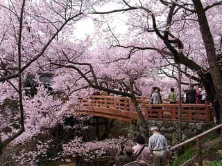 高遠城址公園