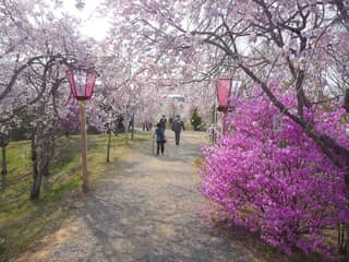 たけべの森
