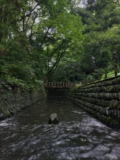 等々力渓谷