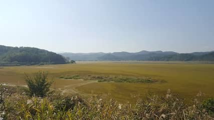 牛浦沼