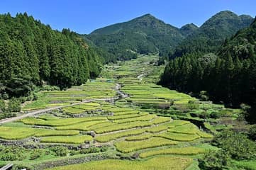 四谷の千枚田