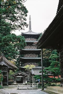 善宝寺(善寳寺)