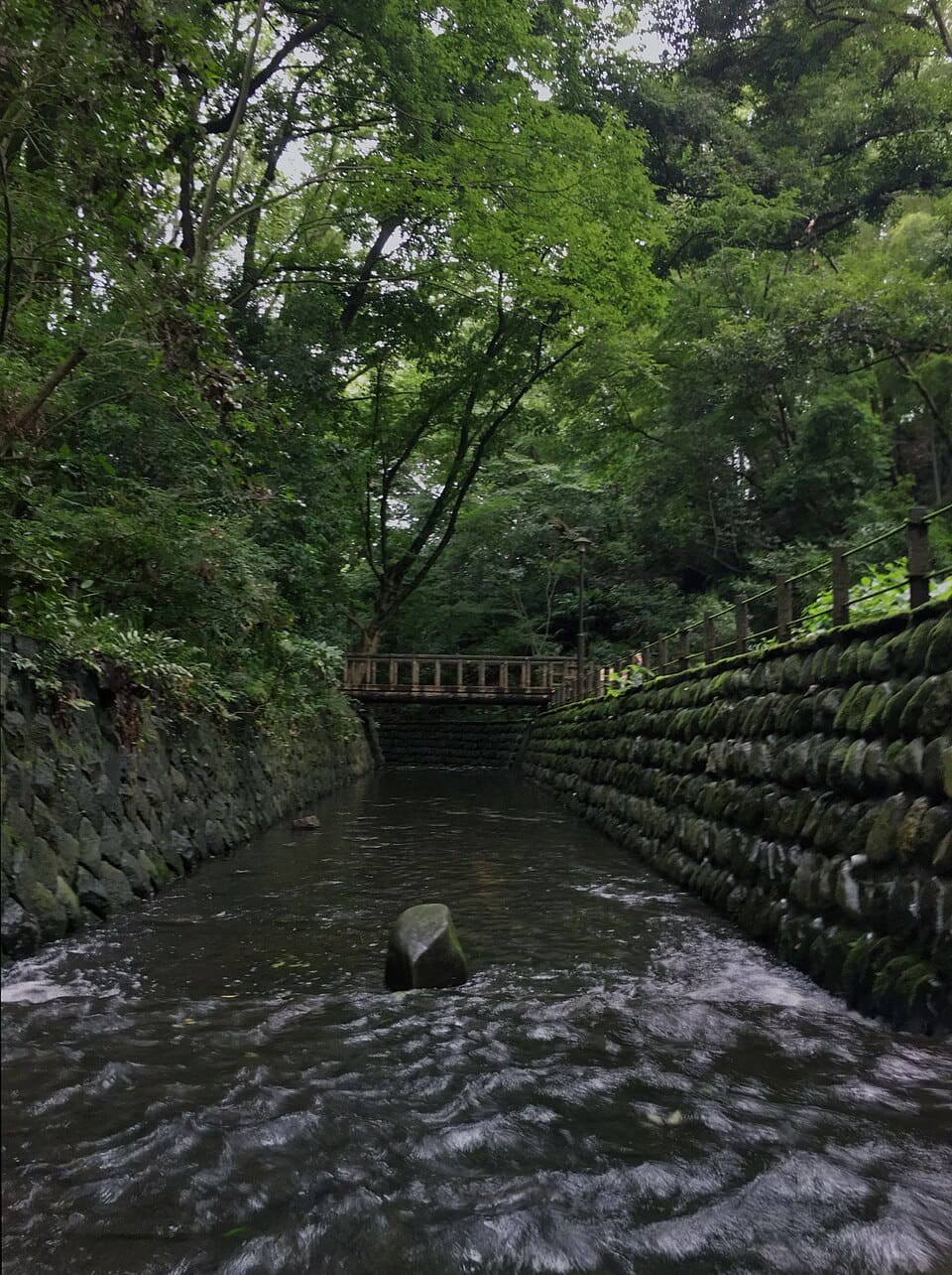 等々力渓谷