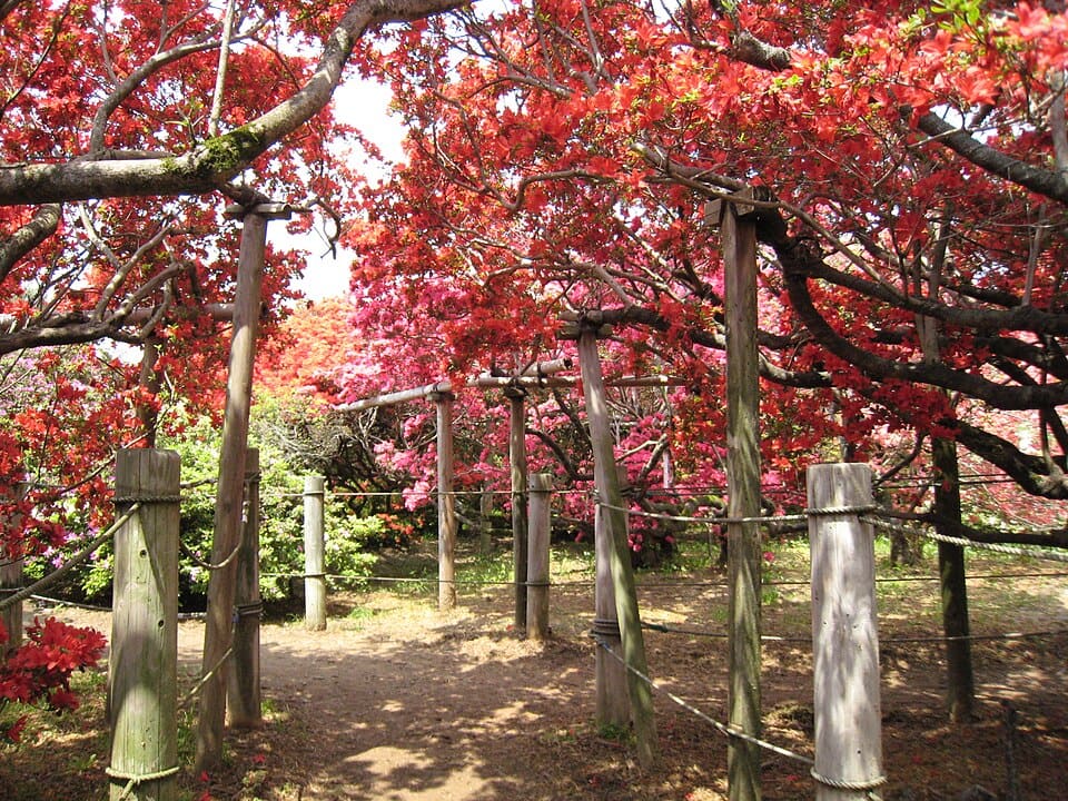 館林 つつじが岡公園