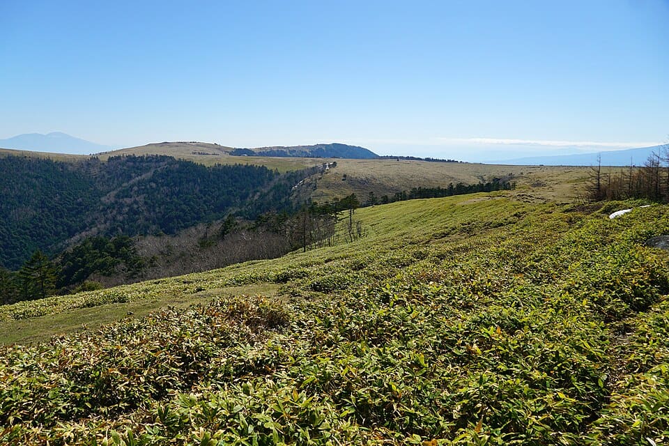 美ヶ原高原