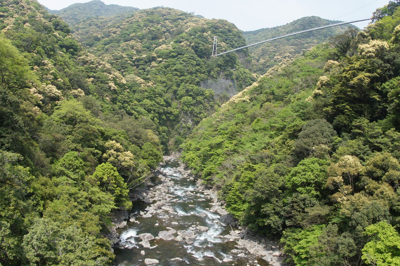 綾の照葉樹林の写真（作例・写真提供：宮崎県観光協会）
