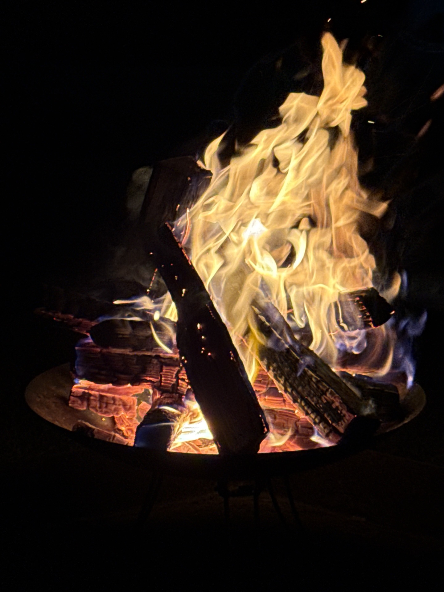 焚き火🔥